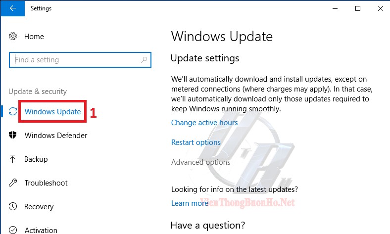 Chọn Advance options trong tùy chọn Windows Update